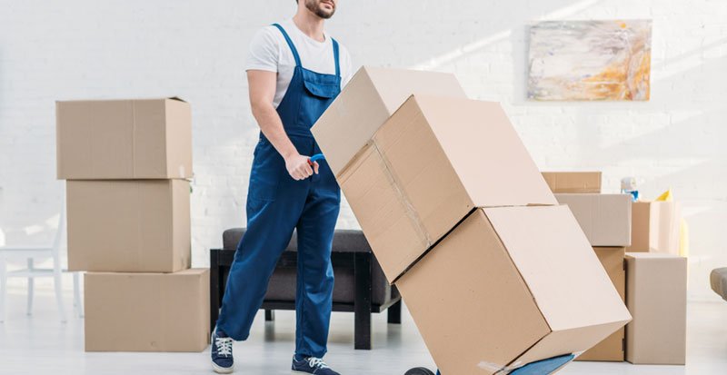 Ziva Packers And Movers hanamkonda Warangal